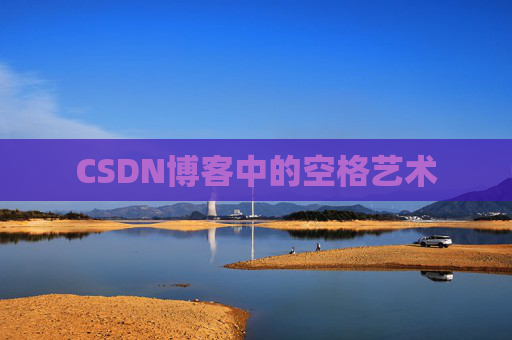 CSDN博客中的空格艺术